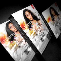 Mehrere Verpackungen der Adobe Software Web and Design Premium