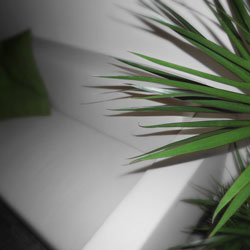 Das Sofa im Büro der pixlscript GbR in Kiel